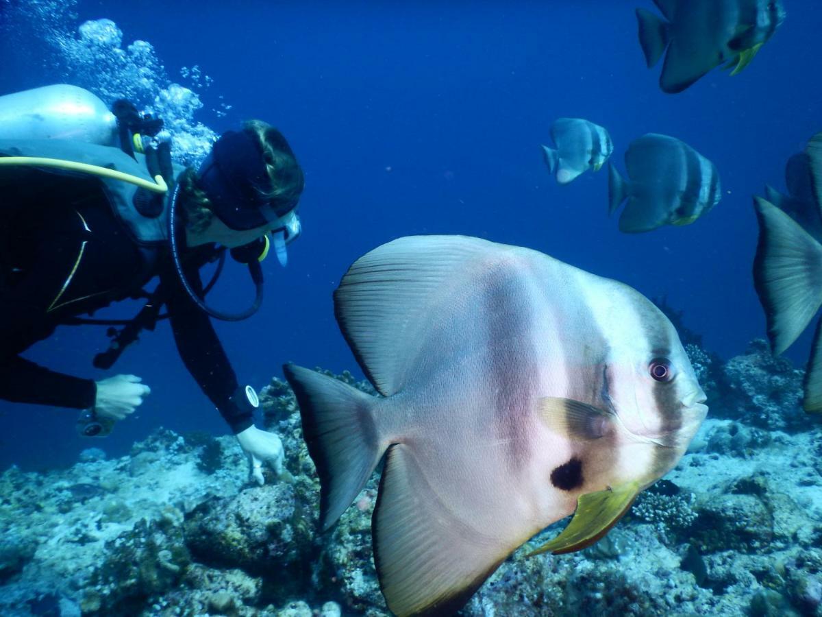 Ithaa Dhigurah Maldives Dhigurah (Alif Dhaal Atoll) Ngoại thất bức ảnh